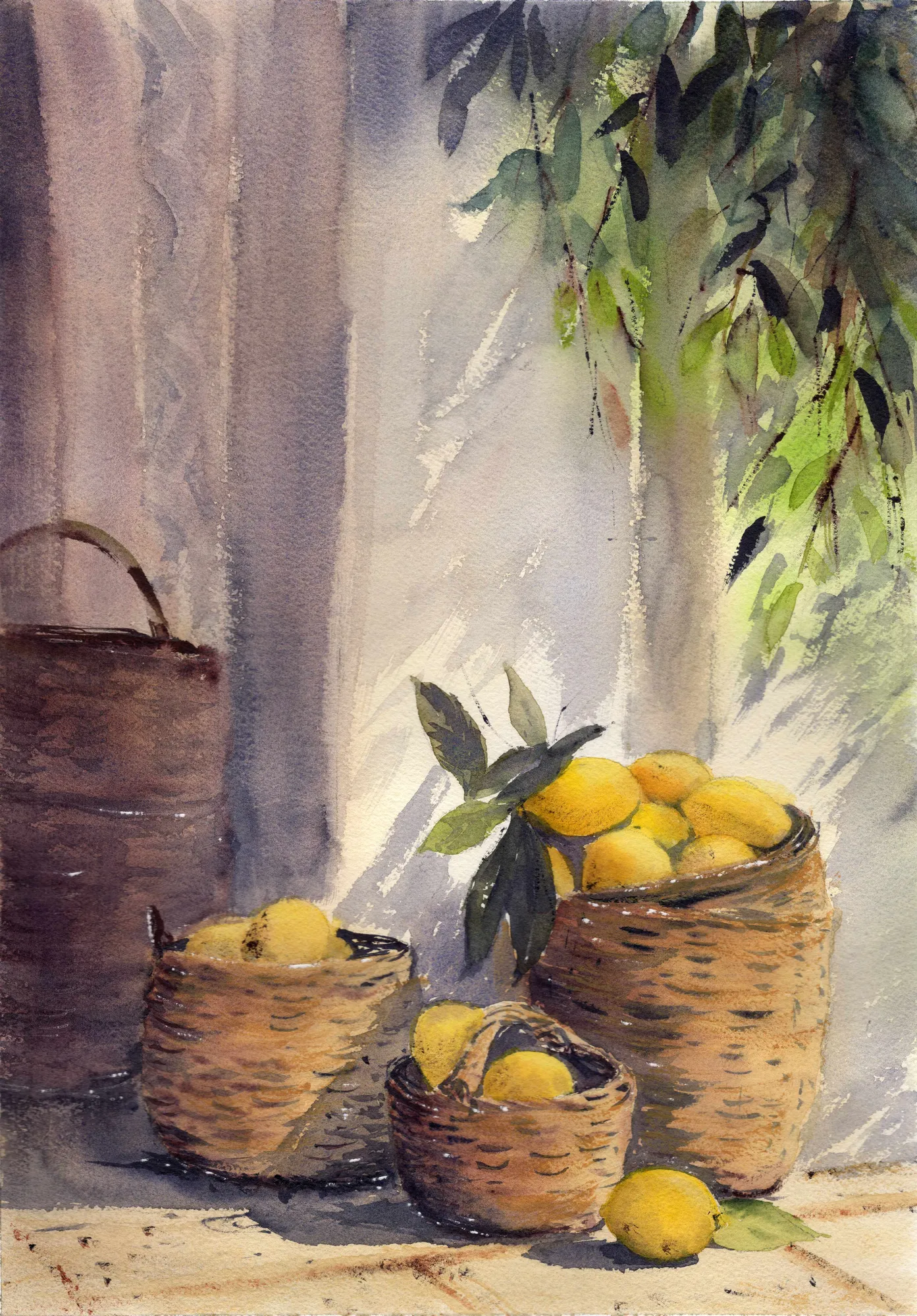 Limon Sepetleri